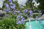 Mainau