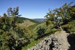 Wogezy, ścieżka na Grand Ballon (1424)