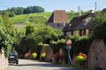 Riquewihr otoczone winnicami