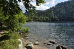 Feldsee