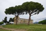 Paestum, ruiny świątyni Ateny.