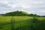 Rezerwat Miodobory, wzgórze z roślinnością stepową.