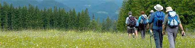 baner