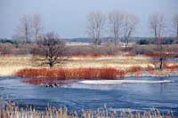 Biebrza National Park Biebrza National Park