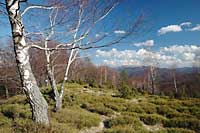 Tatra Mt. Tatra Mt.