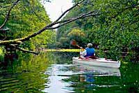 Drawa River Drawa River