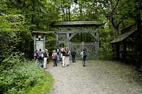 Bialowieza
