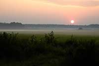 Biebrza Valley