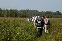 Biebrza Valley