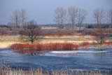 Biebrza Valley