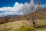 Bieszczady