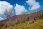 Bieszczady