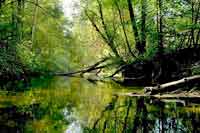 Drawa River