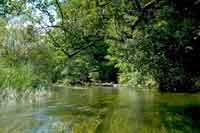 Drawa River