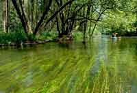 Drawa River