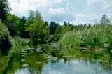 Drawa River
