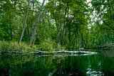 Drawa River