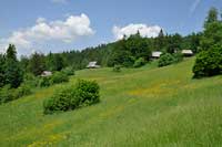 Gorce