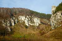 Jurassic Valley