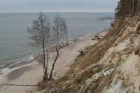Saaremaa island, Panga