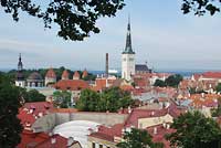 Tallin