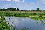 Narwianski National Park