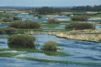 Biebrza Valley