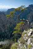 Pieniny