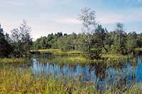 Poleski National Park