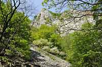 Slovak Karst