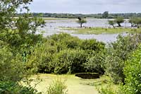 Warta River Valley