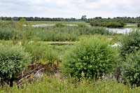 Warta River Valley