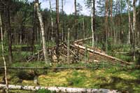 Beaver Lodge